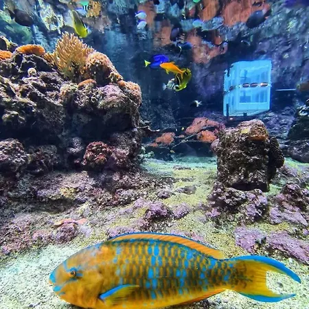 Appartement Visit_genova *